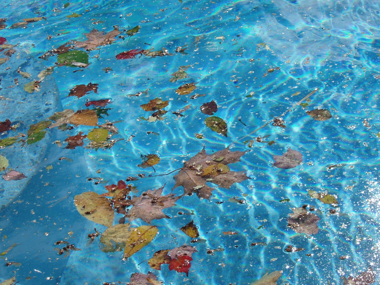 Hivernage de votre piscine : comment faire ?, Zodiac Poolcare